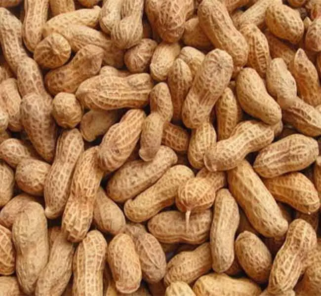  Промышленные Сельскохозяйственные безопасные продукты оптовая продажа увлажняющий арахис из красной