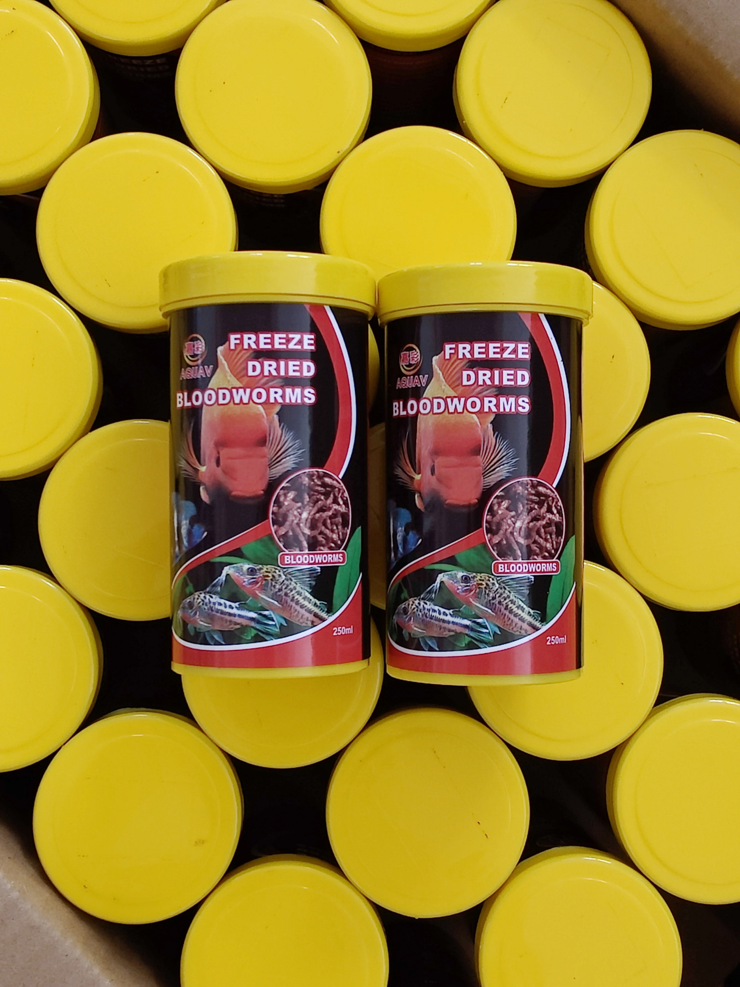 freeze dried  bloodworm .