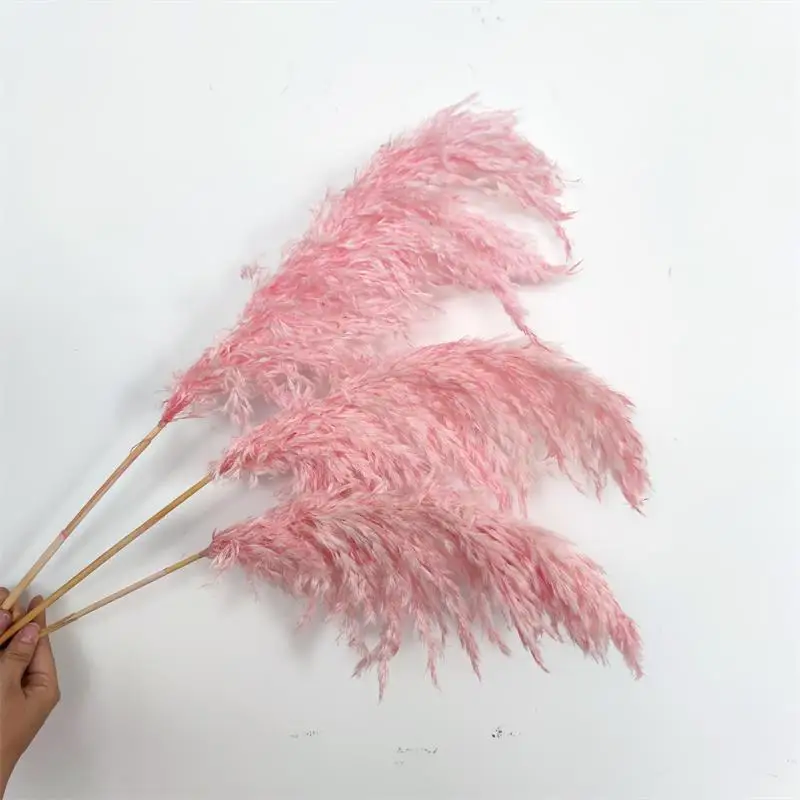 Cheapest decor flower natural pampas grass & dried reed straw grass for home decoration