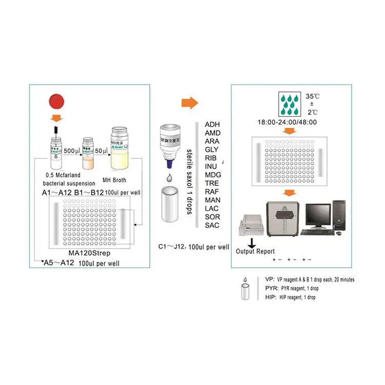 Enterococcus Test Kit Virus Infection Rapid Test Ast Card Kit Bacterial Monitoring Kit