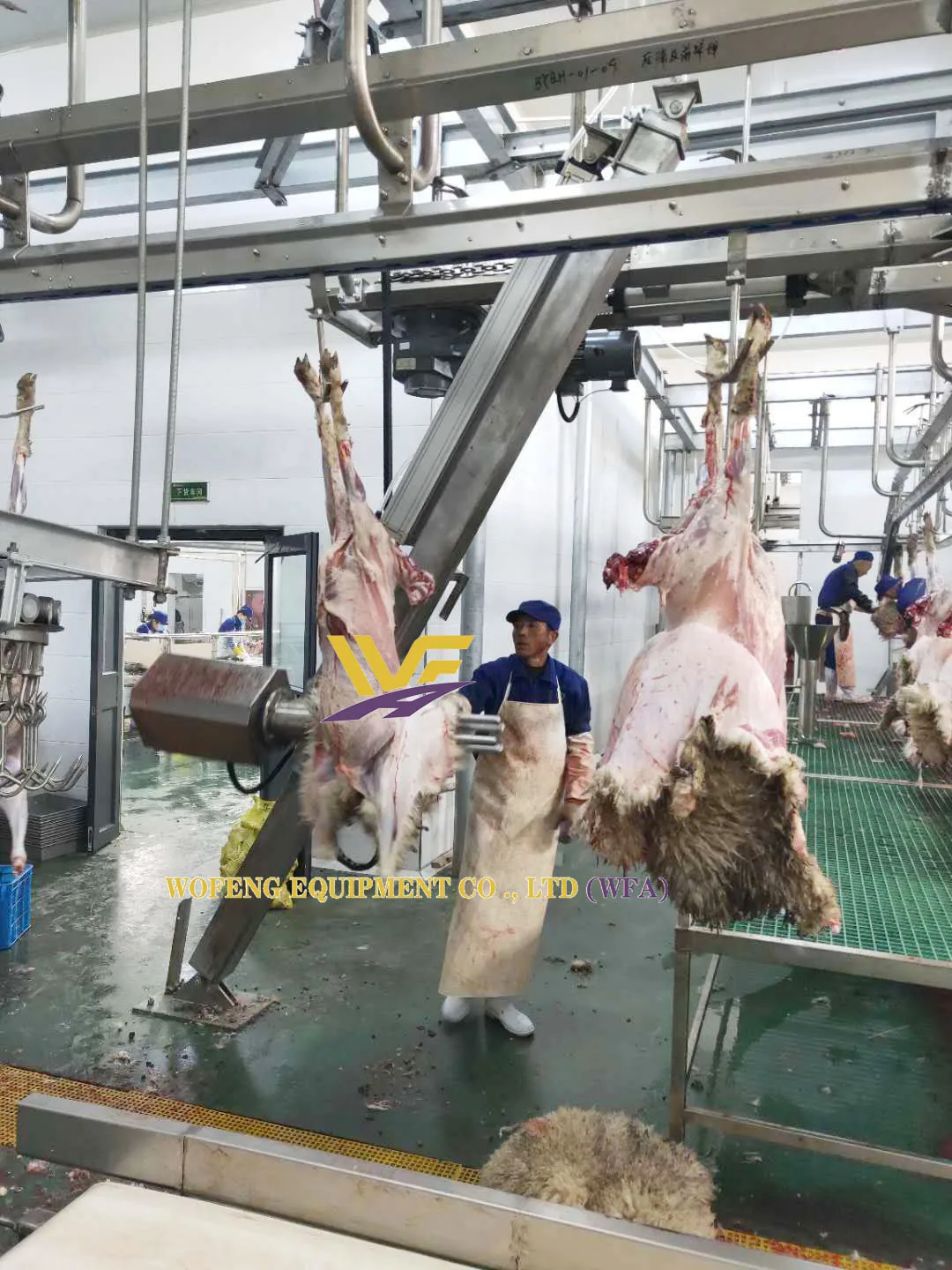 Sheep Slaughtering Line With Goat Skin Removal Machine Livestock Abattoir Equipment
