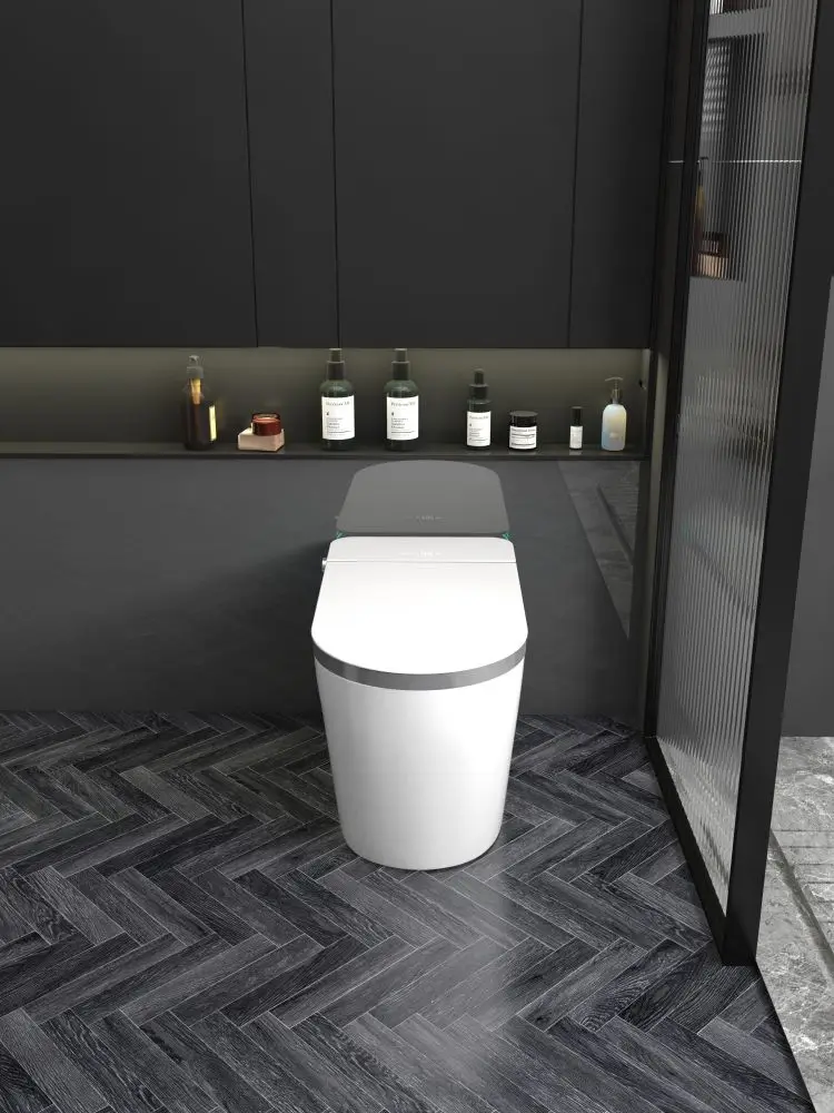 New Arrival Buttocks Washing toilet smart