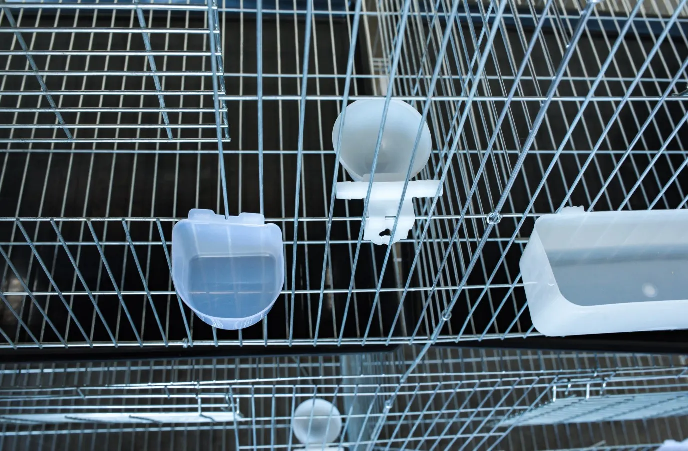 Клетки для голубей нового дизайна рынка Саудовской Аравии