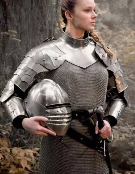 High grade Anti-cut Metal Body Armor Stainless Steel Ring Mesh Chainmail cloth apron for Protecting body