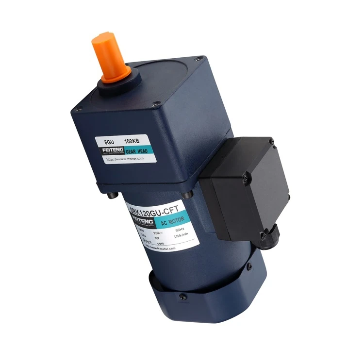 Customized Waterproof 120W 90Mm Low Rpm Reversible Ac Gear Motor 5RK12GU Speed Control Motor Reversible Type With Gear Head