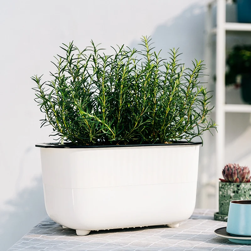 BRICE plastic rectangular vegetable garden pots macetas de plastico para viveros smart watering system for indoor pot plants