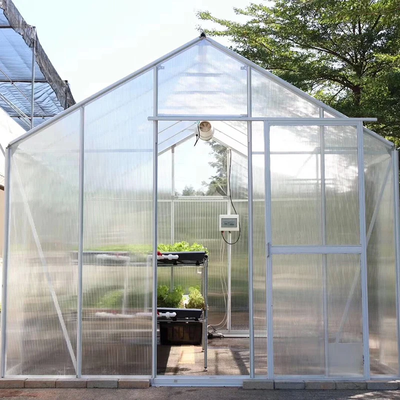 The Cheapest Hot sale and Easily Installed Low Cost Outdoor Greenhouse