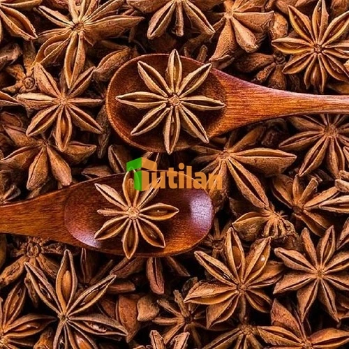 Оптовая продажа с завода, самая низкая цена и лучшее качество, специи и приправы, Звездный анис, чистый Вьетнам