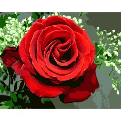 Wholesale Custom Hand Painted Oil Painting DIY Paint by Numbers Kits red rose flower painting wall frame picture