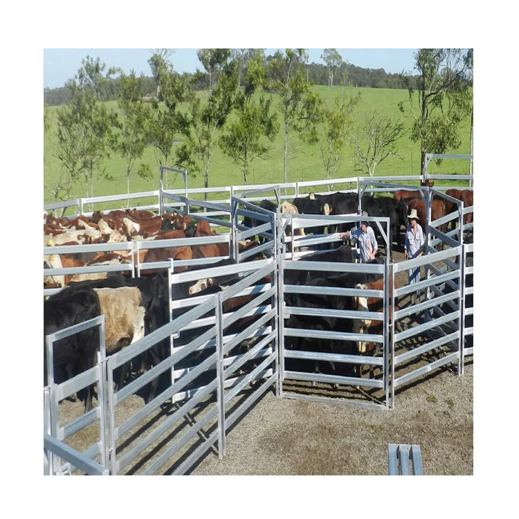 Wholesale cheap used cattle panels for sale 3x3 galvanized cattle welded wire mesh panel