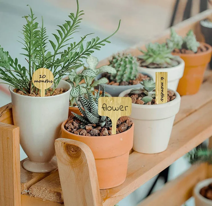 Eco Friendly Widely Used In Garden Waterproof Nursery Markers Flower Pots Seedling Mix Colors Plant Tags Garden Plant labels