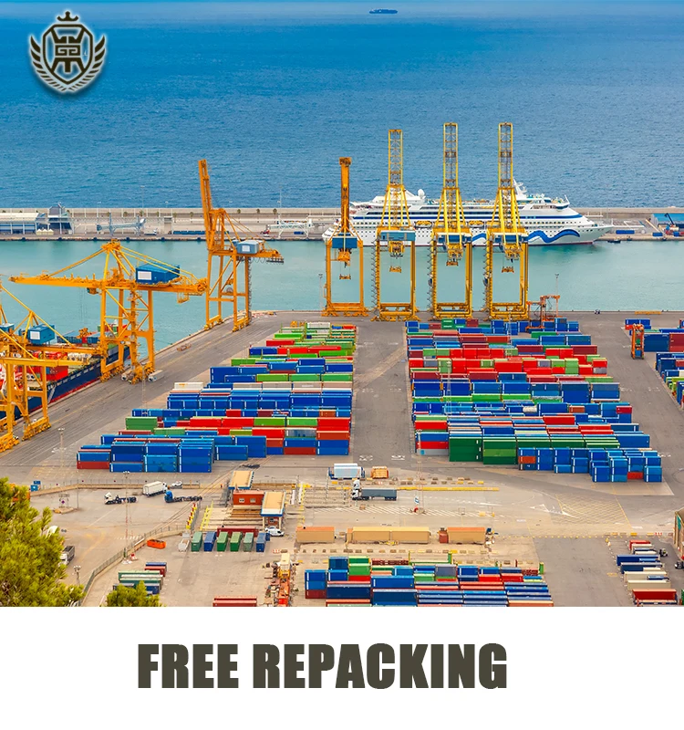 Cheap Electronic Air/Sea Ddp  Freight/Dhl Express Shipping China To France