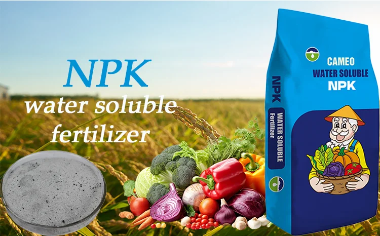 Quick Release 18-18-18 19-19-19 NPK Organic Fertilizer Water Soluble Compound NPK 20-20-20 for Agriculture