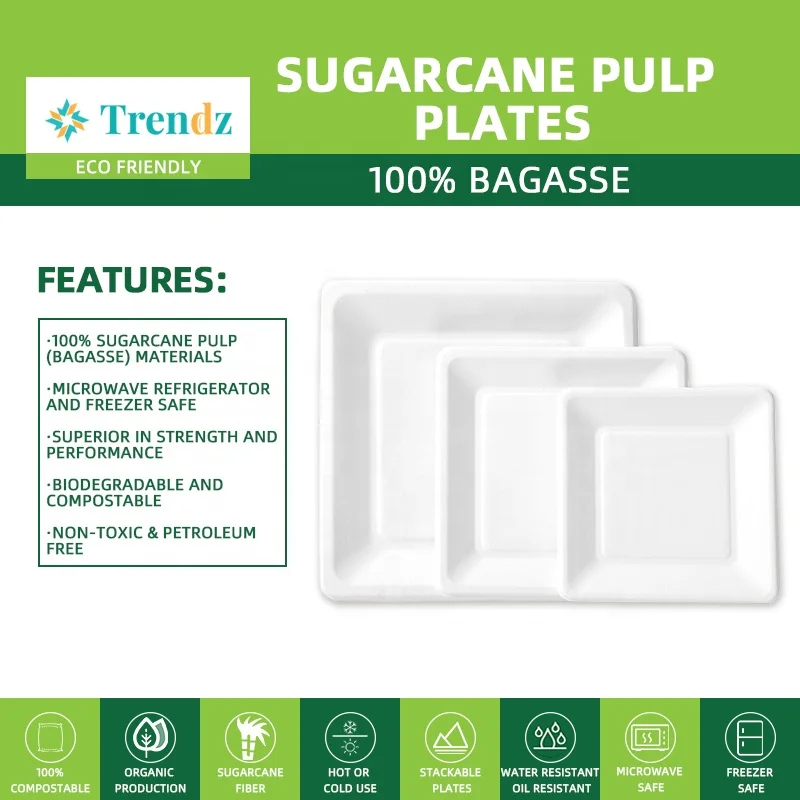 Wholesale Custom Logo Disposable Biodegradable Sugracane Bagasse fiber square diner plate cheap charger plates