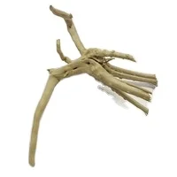 fish tank decoration natural aquarium driftwood slim roots 15-30cm