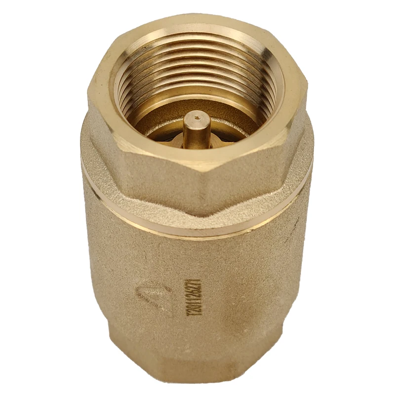 H01 Brass Vertical Check Valve Spring Swing Flap Check Valve Thread Connection