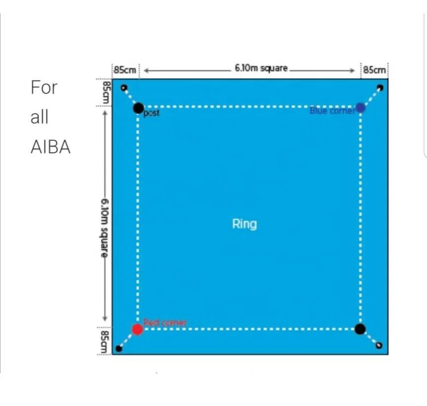 Free Logo Added Floor Mounted 7.8m 7m Professional Boxing Fighting Ring Equipment AIBA Standard Staged ring boxing