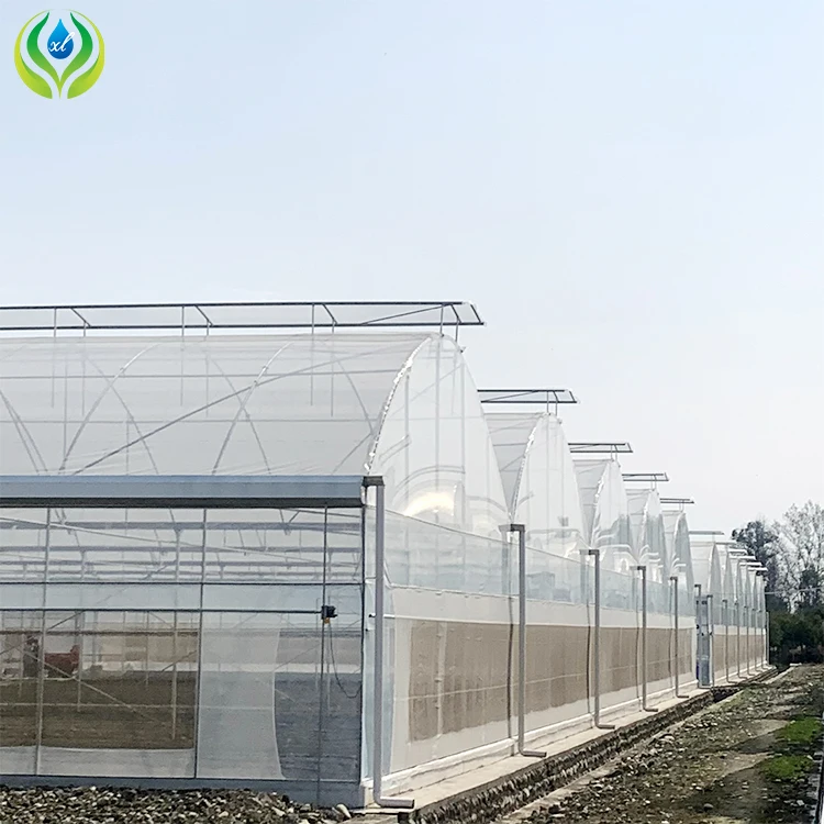 MYXL outdoor greenhouse farming vegetable metal frame green house plastic agriculture commercial
