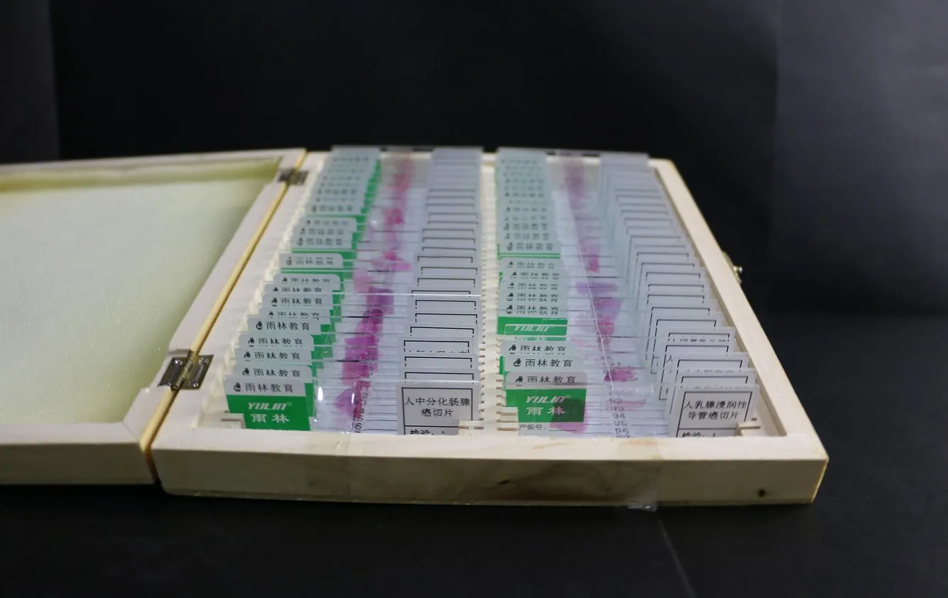 Student Microscope Specimen Collection Mixed Prepared Slides from Factory 100 Pcs Set Wooden Box