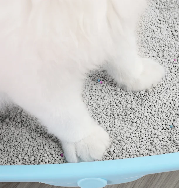 Factory Supply Wholesale Pet Product Deodorization Cat Sand Custom Flavors Ball Shape Clumping Bentonite Cat Litter Filter 10L