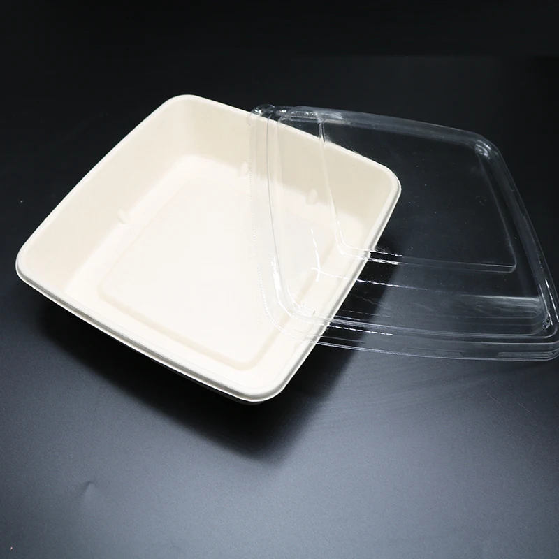 8*8-inch 1000ml/32Oz Square Environmental Biodegradable Takeaway Disposable Recycled Food Container Sugarcane Bento BOX