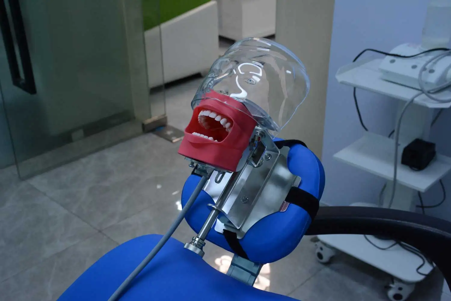 Dental Lab Strap-style Dental Chair Simulator Manikin Typodont Practice Adjustable Phantom Head
