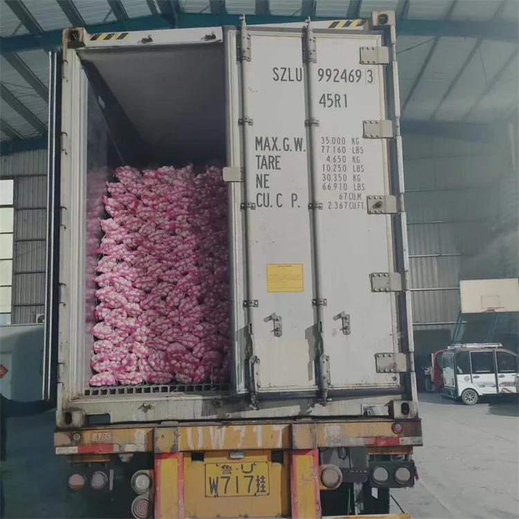 Garlic fresh normal white garlic in bulk Chinese ekspor red new crop big head ajo garlic bawang putih mesh bag