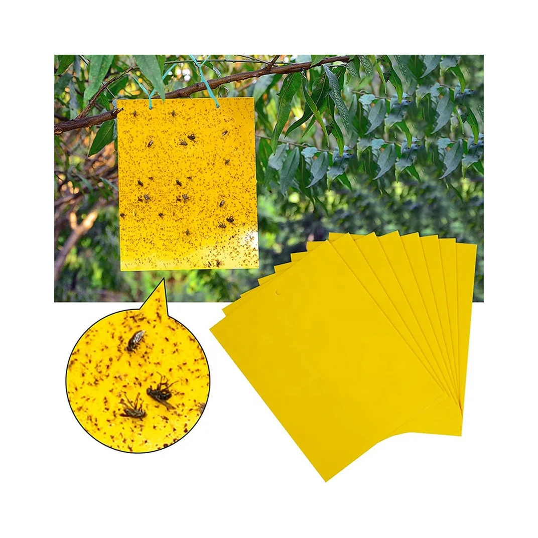 Factory Direct Sales Customized In Various Sizes Yellow Glue Board Plastic Sticky Fruit Fly Trap Insect Bugs Sticker Glue Trap