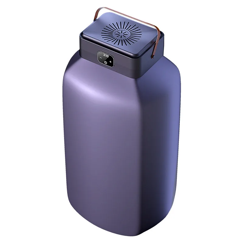 20kg portable electric clothes dryer machine wall mounted heated clothes dryer steam iron