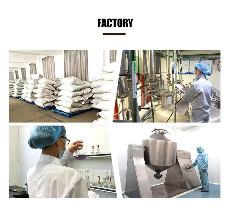 Bulk Red Spinach Extract Red Spinach Extract Powder