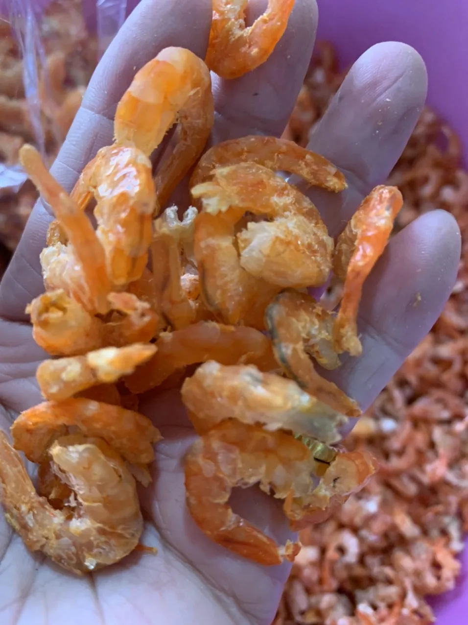 Dried Shrimp Without Shell Whole Shrimp Seafood Dry Cargo Dried Seafood- (seafood(dot)linda(at)gmail(dot)com)