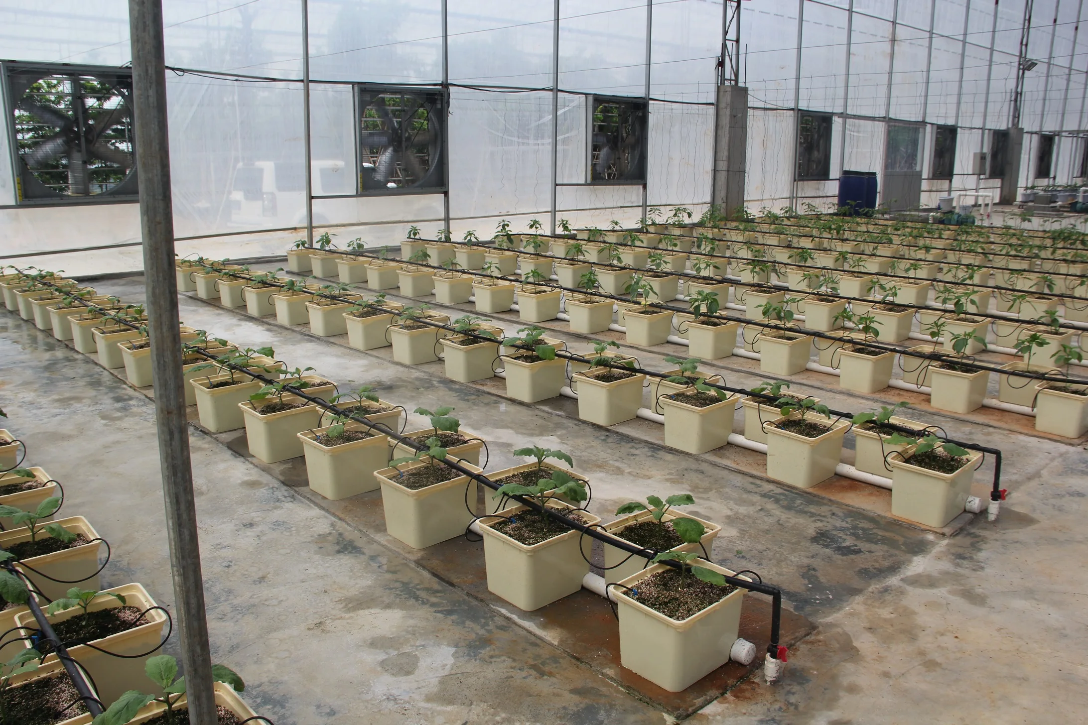 Hydroponics farm irrigation system Dutch Bucket hydroponics box self watering plant pot for sale