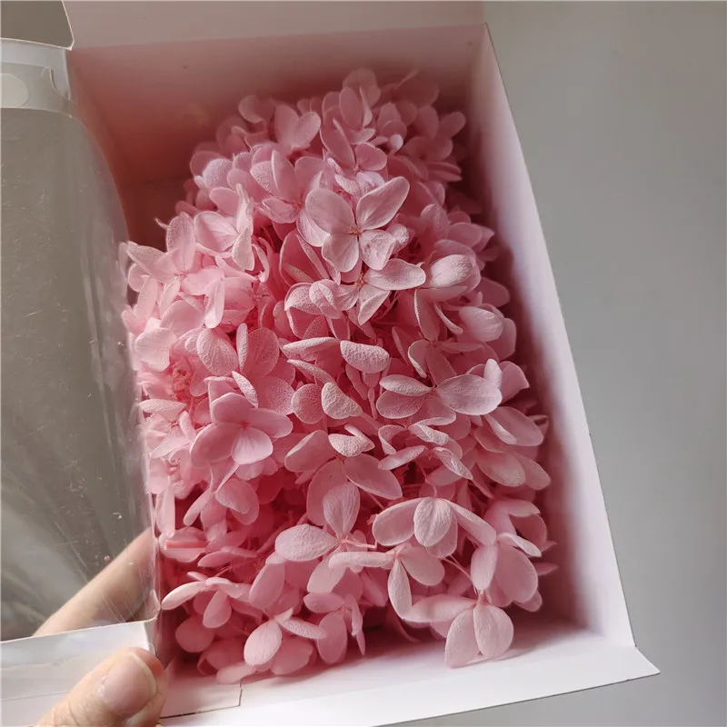 Dried Woody Hydrangea for Christmas Decorations DIY Flower Materials with Drop Glue Accessories Handicrafts