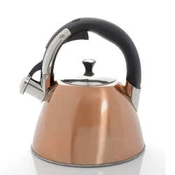 Whistling Tea Kettle Stainless Steel Water Tea Pot With Color Painting Kitchen Home Whistle Kettle