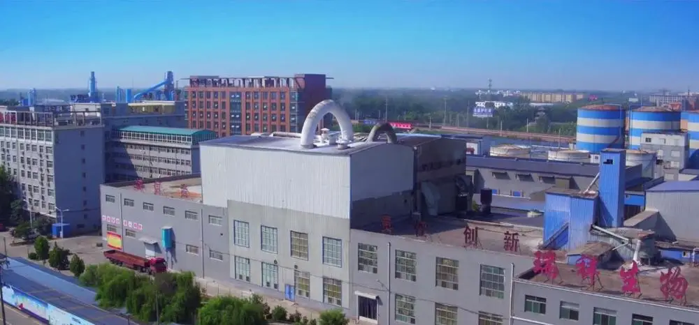 Factory Supply High quality Vital Wheat Gluten Flour With best Price for Bread