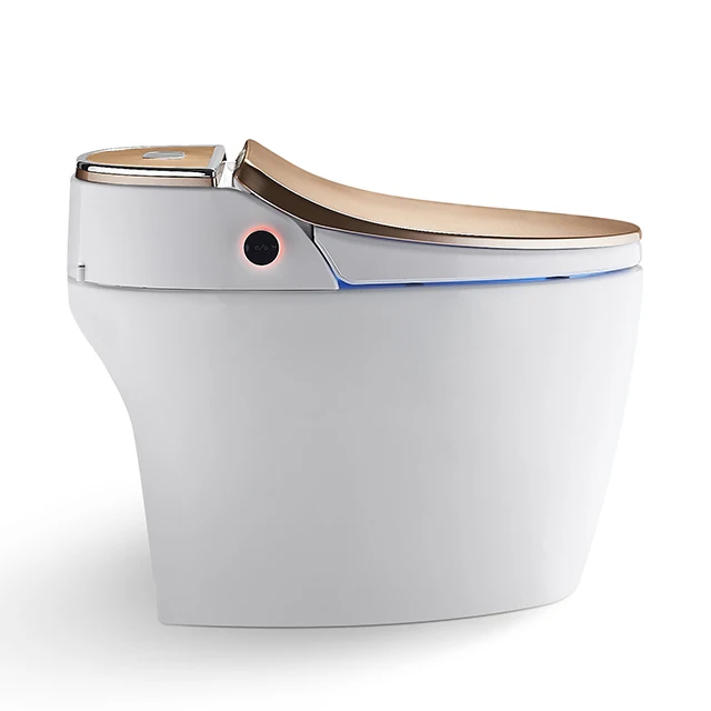 Hotel modern110V/220V bathroom ceramic floor mounted intelligent electric toilet bowl automatic bidet wc smart toilet