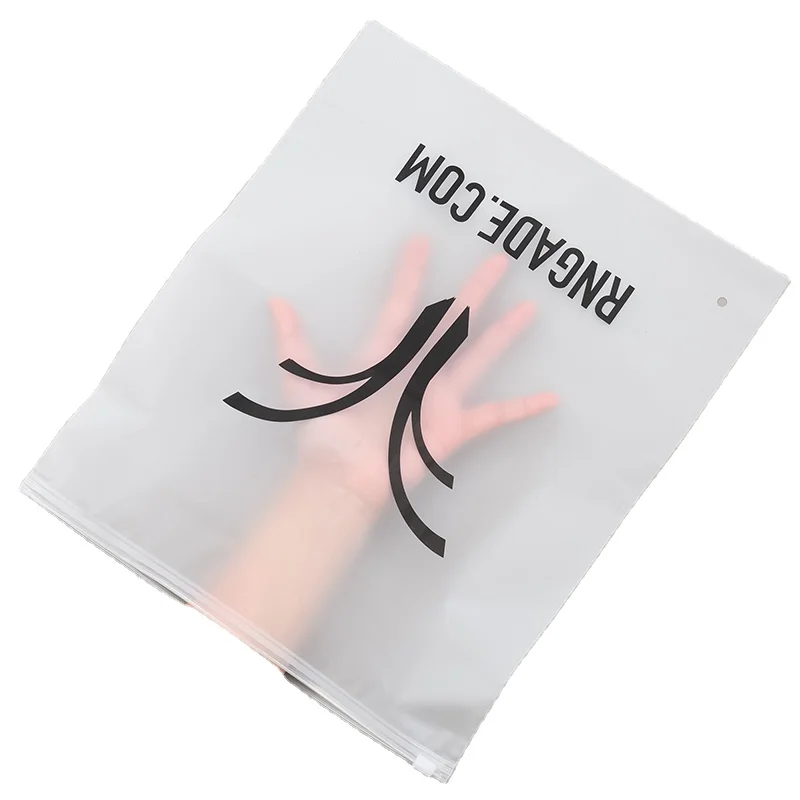 Custom Bag Competitive Price Frosted Plastic Zipper Bag With Logo Print