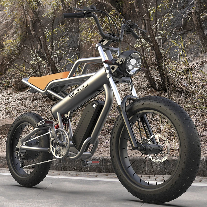 7 speed 2 Seat 48V Fatbike Adult E-Bike Electric City Fat Tire Bike Bicycle Mountain Road Dirt Electric Fat Tire Hybrid Bike