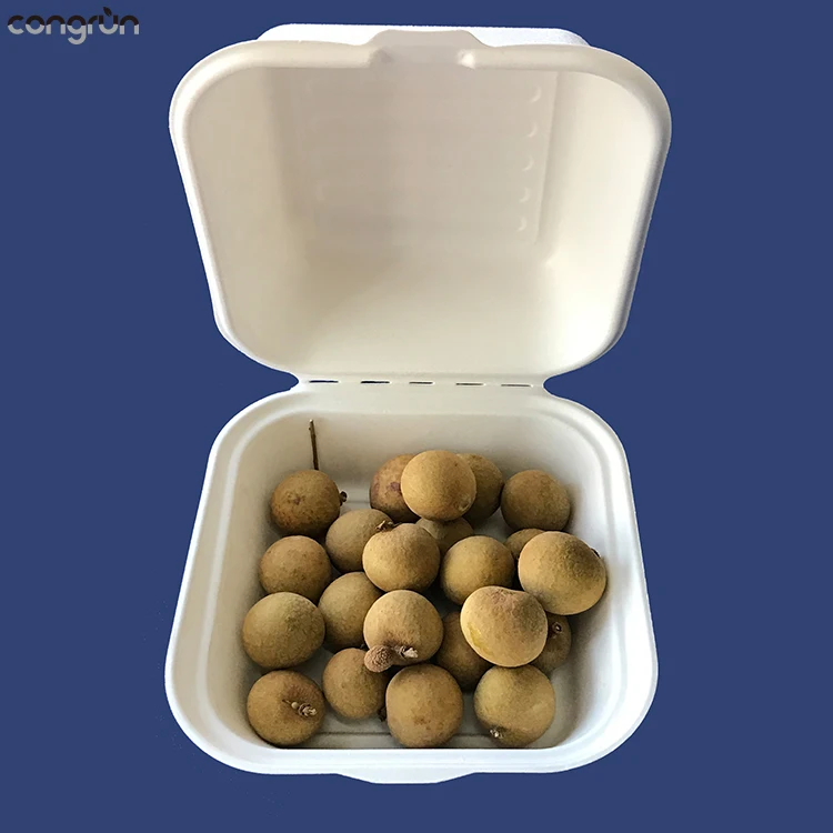 Custom sugarcane bagasse takeaway clamshell box disposable envase biodegradable clamshell packaging  plates and cutlery