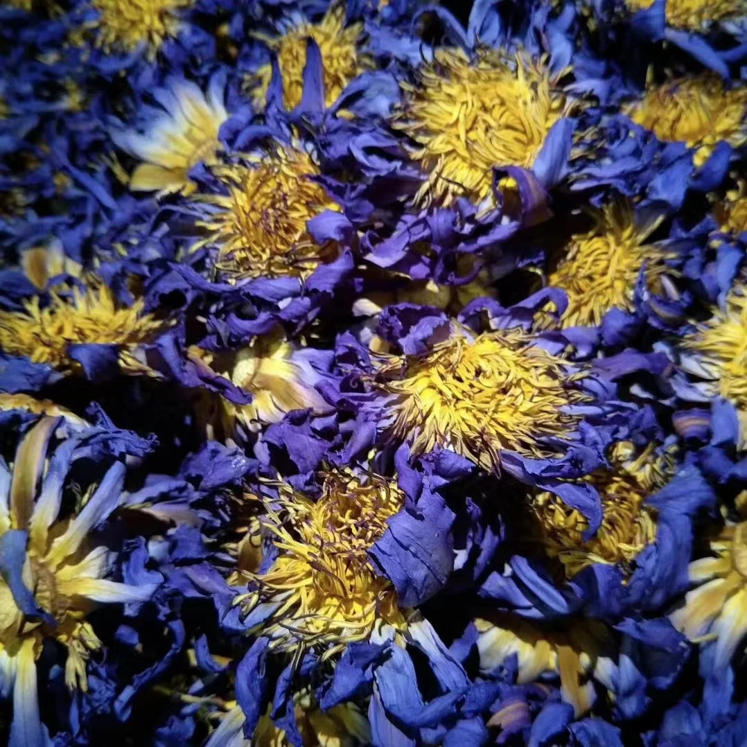 Natural Herbal Blue Lotus Dried Tea Blue Lotus Herbal Tea