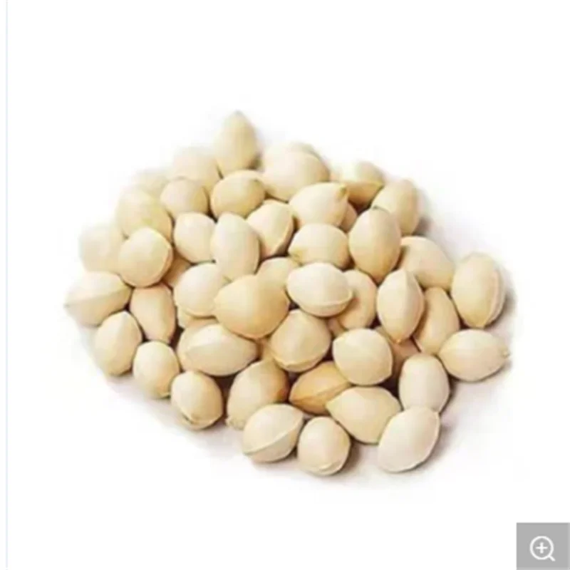 China Natural dry ginkgo raw ginkgo ginkgo white nuts in kind of shooting a large amount of good