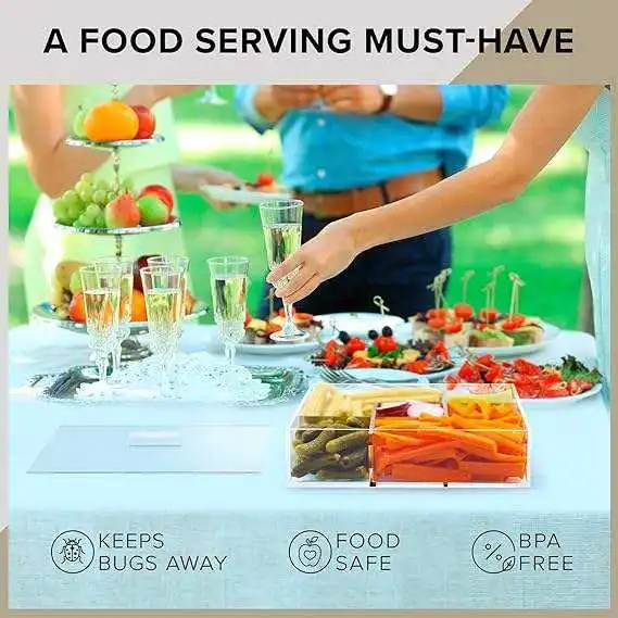 Wholesale Snack Serving Tray With Lid Divided Appetizer Serving Tray Set Empty Sectional Gift Box For Nuts Veggie Candy Dish