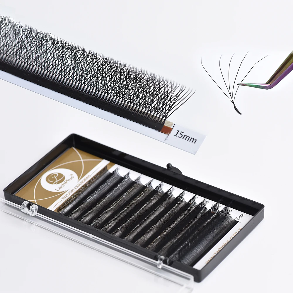 LashPlus lightweight YY W shape lashes premium Korean PBT fiber W lashes 3D Eyelash Extensions