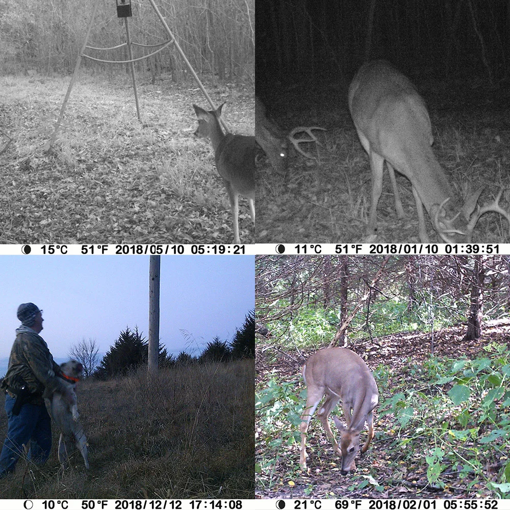 Low Price !!!  Farm Security Camera No Glow 8MP 940nm Game Camera Trail Game Camera