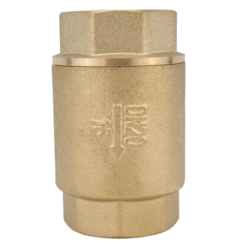 H01 Brass Vertical Check Valve Spring Swing Flap Check Valve Thread Connection