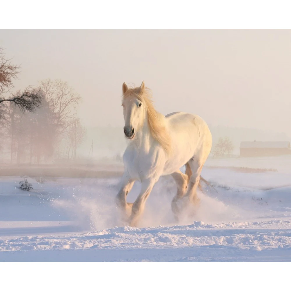 horse Animal Full Drill Diamond Painting 5D Picture DIY Embroidery Home Wall Decor OEM/ODM Factory Wholesale Gift