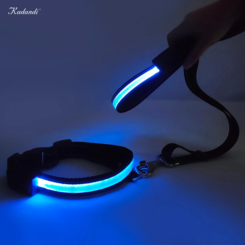 Wholesale Solar LED light flashable Dog training leash for large Strong Nylon dog walking at night pet leash for dogs