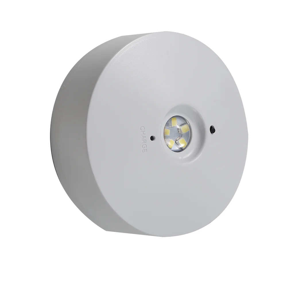 ZhuiMing High Quality IP20 Battery Backup Automatic LED LIGHT Non-maitained Emergency Light With 3W