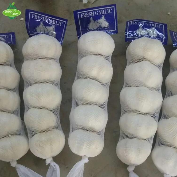 garlic seeds for sale galic