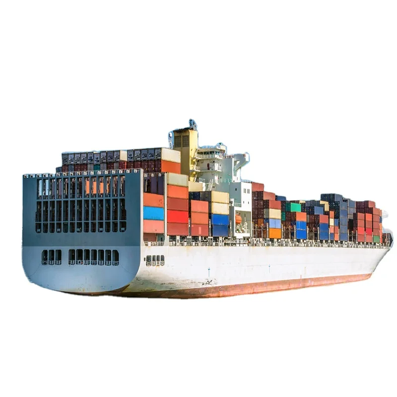 FCL/LCL Ocean shipping agent Sea shipping freight forwarder China Sea shipping freight to Manzanillo/Mexico City/Buenos Aires